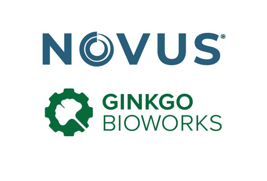 NOVUS Ginkgo