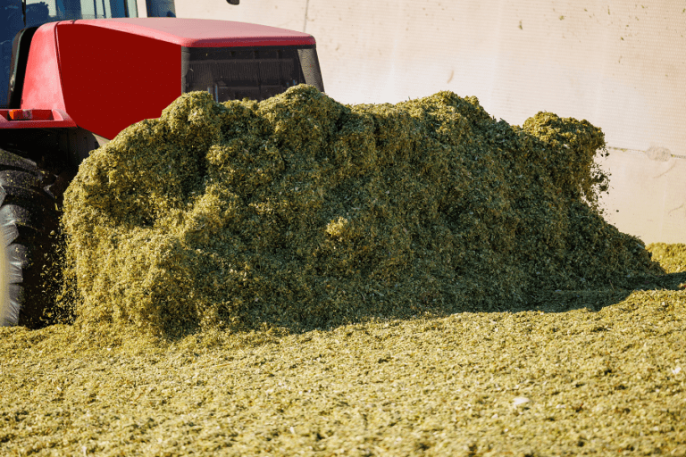 Tractor With Silage