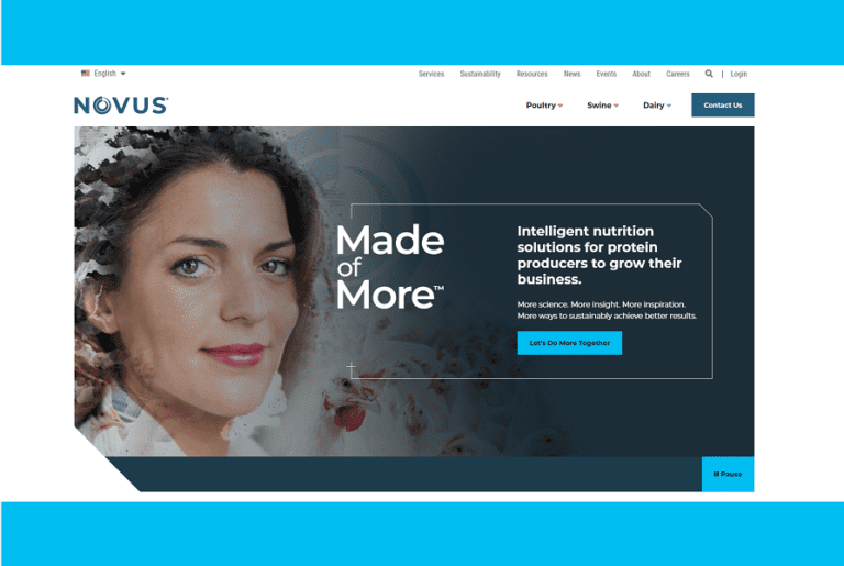 novus homepage