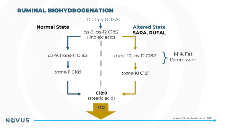 Ruminal Biohydrogenation